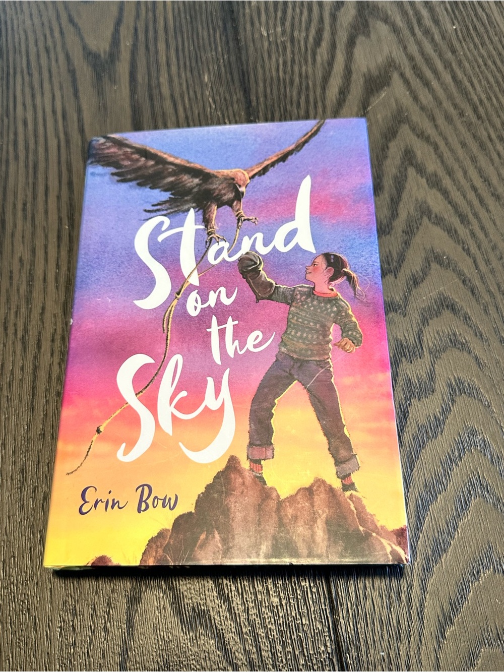📚4 for $25 📚 Stand on the Sky